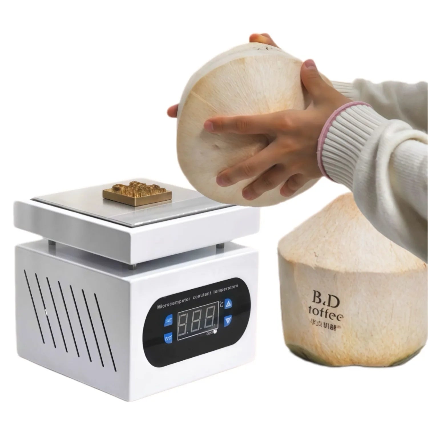 Customize LOGO Coconut Branding Iron Heating Machine Weddling Coconut Stamp Electric Thermostat