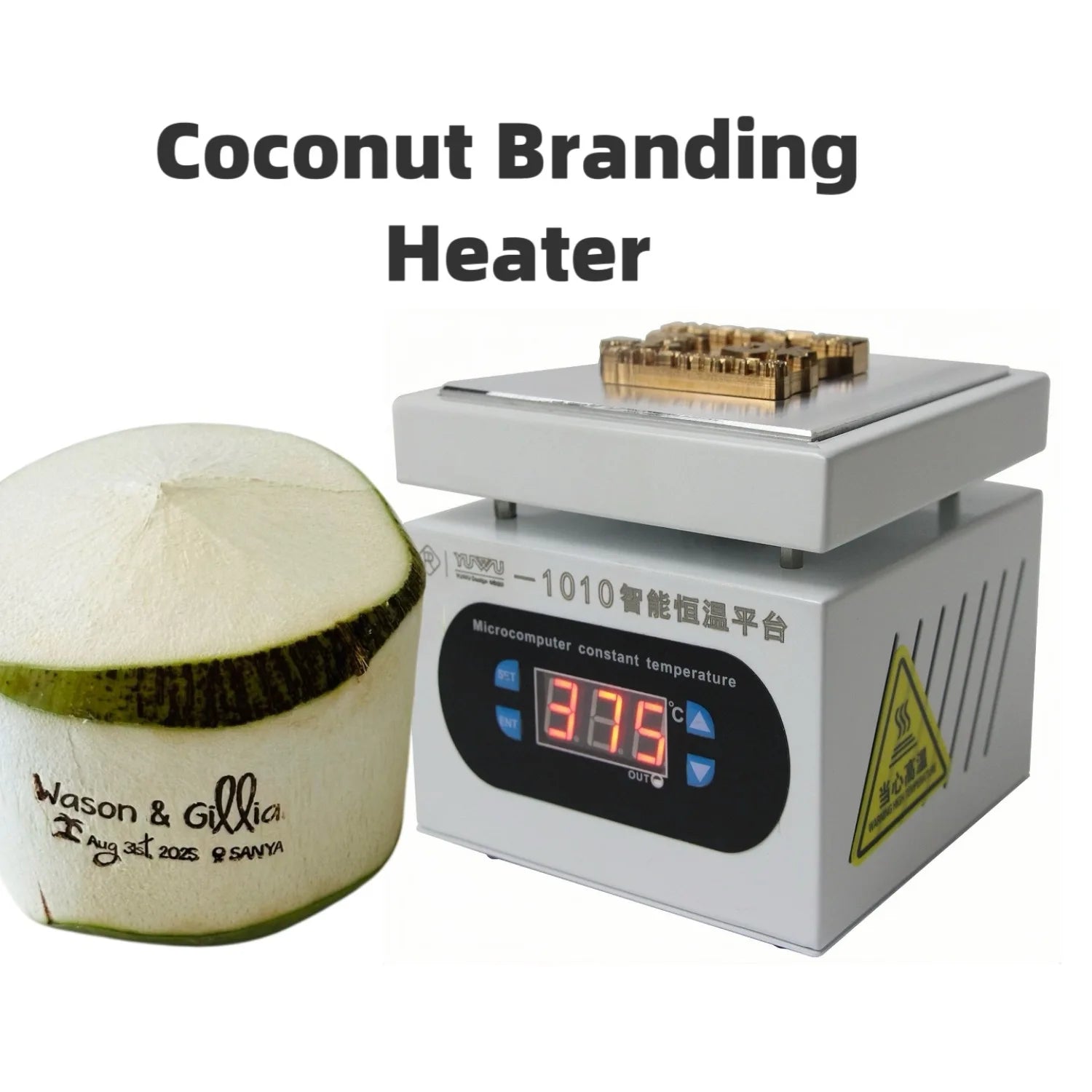 Customize LOGO Coconut Branding Iron Heating Machine Weddling Coconut Stamp Electric Thermostat