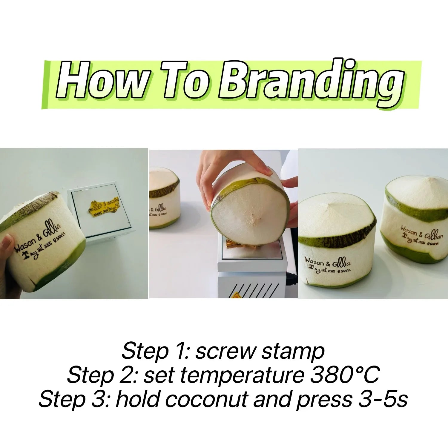 Customize LOGO Coconut Branding Iron Heating Machine Weddling Coconut Stamp Electric Thermostat